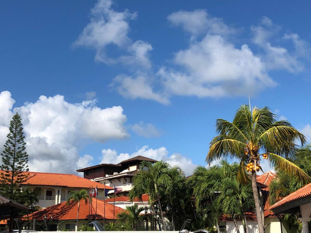 פונטה קאנה Hotel Seranta Brisas De Bavaro (Adults Only) מראה חיצוני תמונה